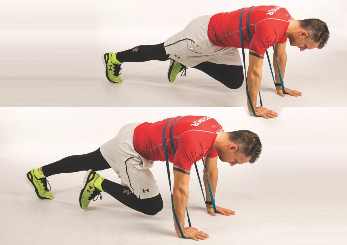 Banded Mountain Climber