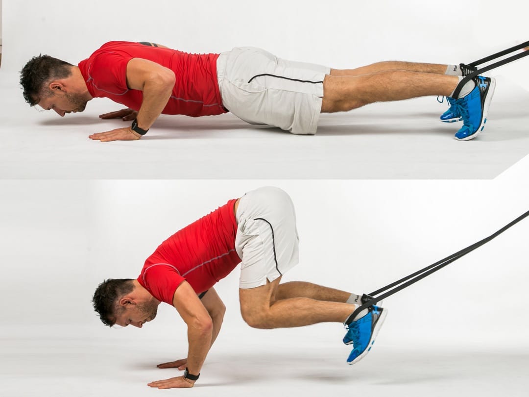 Low Bear Band Jumping