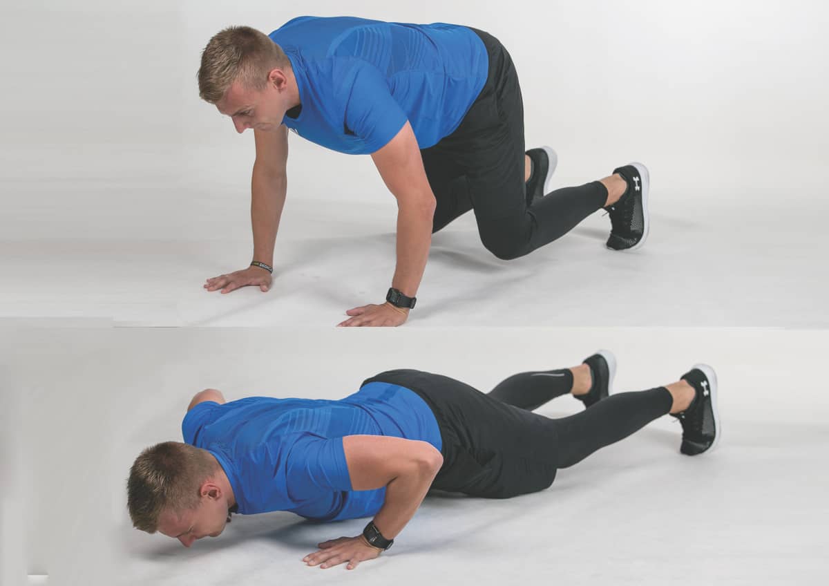 Bear Plank to Push-up front