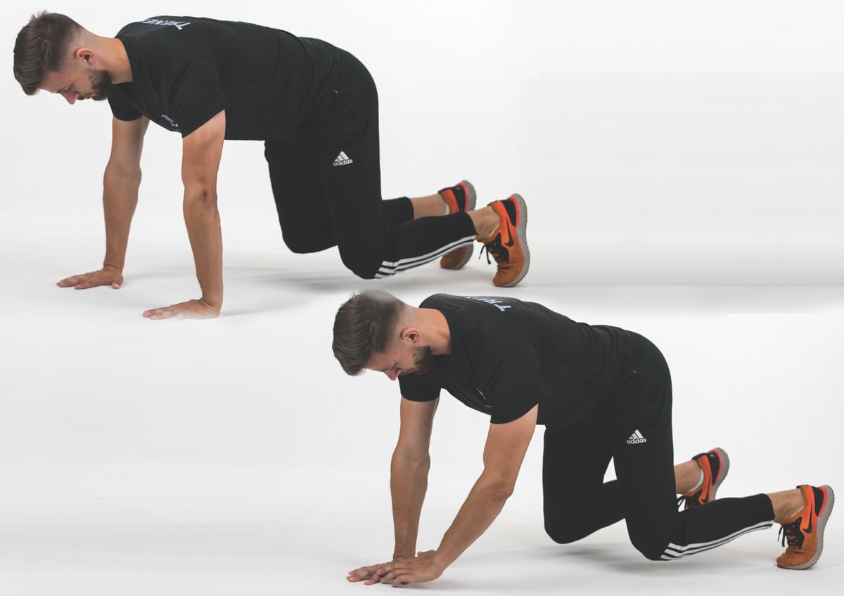 Bear Crawl Hand Tap