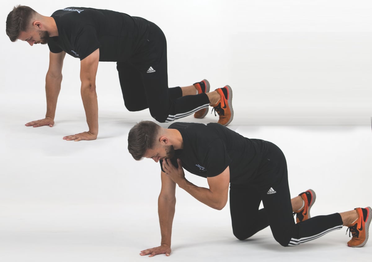 Bear Crawl Shoulder Tap